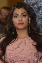 Anisha Ambrose At Okkadu Migiladu Movie Pre Release Function